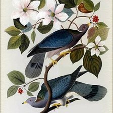 Cross stitch pattern: #536461