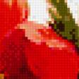 Preview of cross stitch pattern: #536556