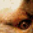 Preview of cross stitch pattern: #536637