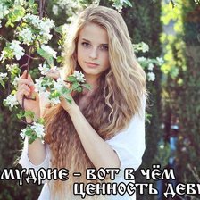 Cross stitch pattern: #536638