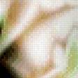 Preview of cross stitch pattern: #537075