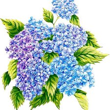 Cross stitch pattern: #537193
