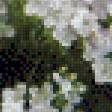 Preview of cross stitch pattern: #537828