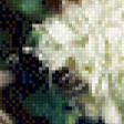 Preview of cross stitch pattern: #537842