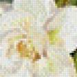 Preview of cross stitch pattern: #537845