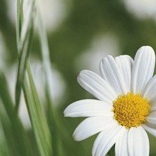 Cross stitch pattern: #537930