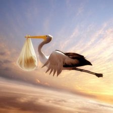 Cross stitch pattern: #538062