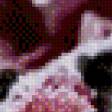 Preview of cross stitch pattern: #538074