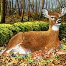 Cross stitch pattern: #538505