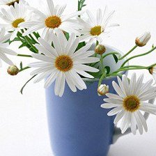 Cross stitch pattern: #538576