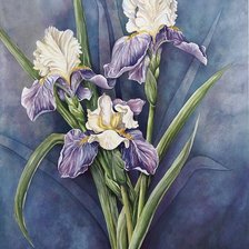 Cross stitch pattern: #538827