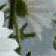 Preview of cross stitch pattern: #538828