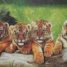 Cross stitch pattern: #538897