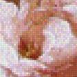 Preview of cross stitch pattern: #539378