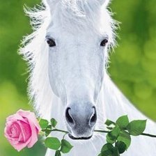 Cross stitch pattern: #539390