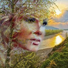 Cross stitch pattern: #539747