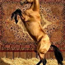 Cross stitch pattern: #539774