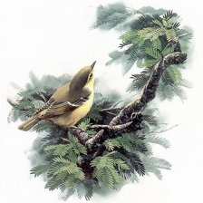 Cross stitch pattern: #540251