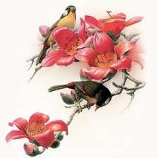 Cross stitch pattern: #540252