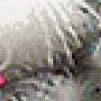 Preview of cross stitch pattern: #540253