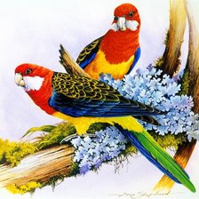 Cross stitch pattern: #540257