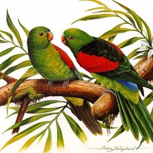 Cross stitch pattern: #540258