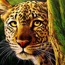 Cross stitch pattern: #540271