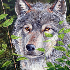 Cross stitch pattern: #540374