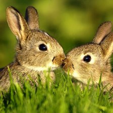 Cross stitch pattern: #540469