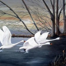 Cross stitch pattern: #540508