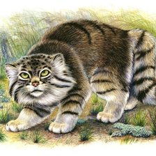Cross stitch pattern: #540580