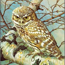 Cross stitch pattern: #541230