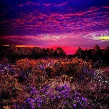 Cross stitch pattern: #541346