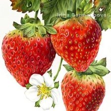 Cross stitch pattern: #541381