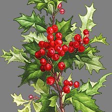 Cross stitch pattern: #541685