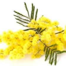 Cross stitch pattern: #541818