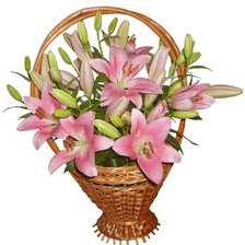 Cross stitch pattern: #541829