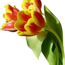 Cross stitch pattern: #541833