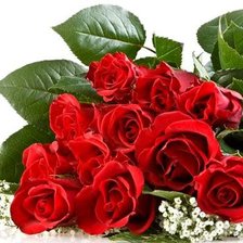 Cross stitch pattern: #541841