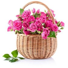 Cross stitch pattern: #541845