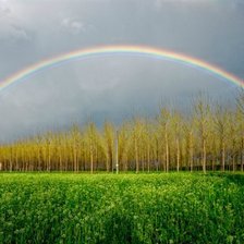 Cross stitch pattern: #541877