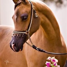 Cross stitch pattern: #541926