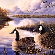Cross stitch pattern: #542096