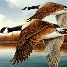 Cross stitch pattern: #542102