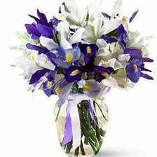 Cross stitch pattern: #542335