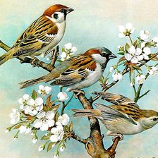 Cross stitch pattern: #542336