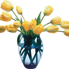 Cross stitch pattern: #542337