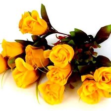 Cross stitch pattern: #542342