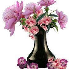 Cross stitch pattern: #542350