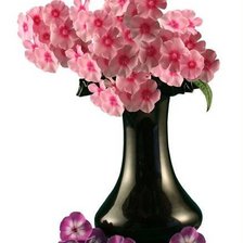 Cross stitch pattern: #542357